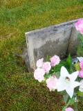 image of grave number 630568